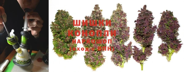 первитин Богородицк